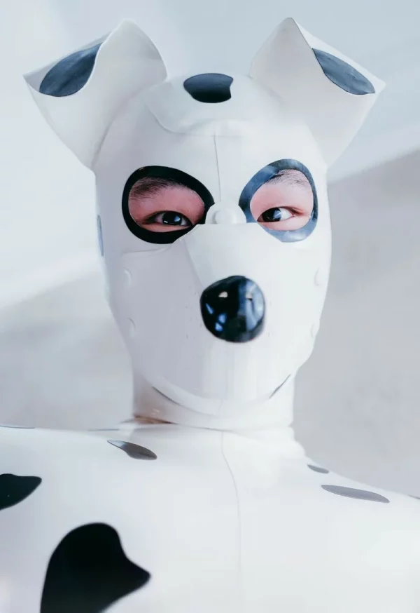 Unisex ''Dalmatian' Pup Hood